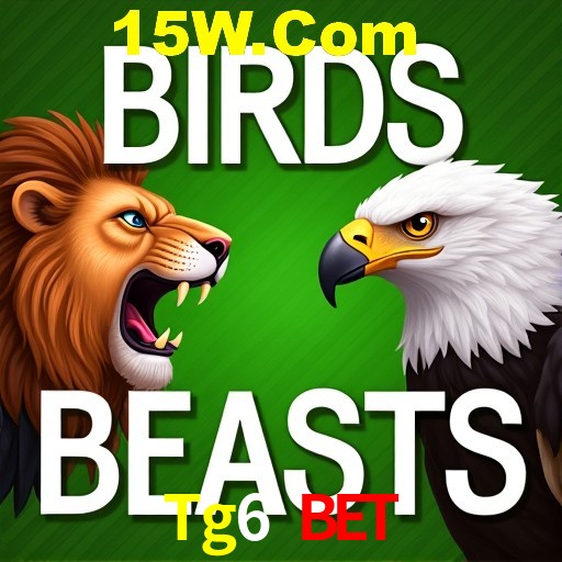 A Experiência Imersiva dos Cassinos Ao Vivo no Tg6 Bet