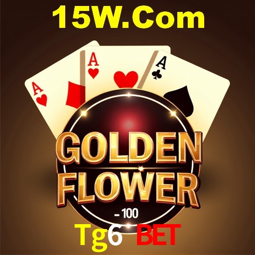 Experiência VIP Tg6 Bet