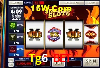 Sistemas de Segurança Tg6 Bet