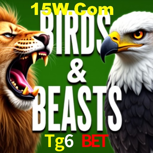 Apostas Esportivas na Tg6 Bet: Um Guia Completo